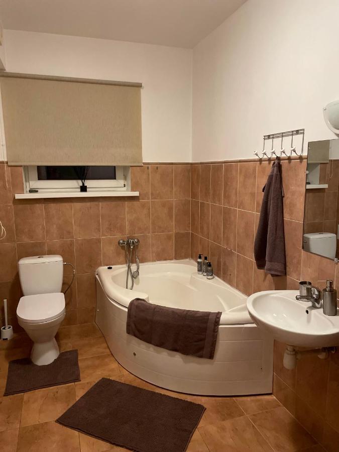 Studio Apartamenti Цесіс Екстер'єр фото